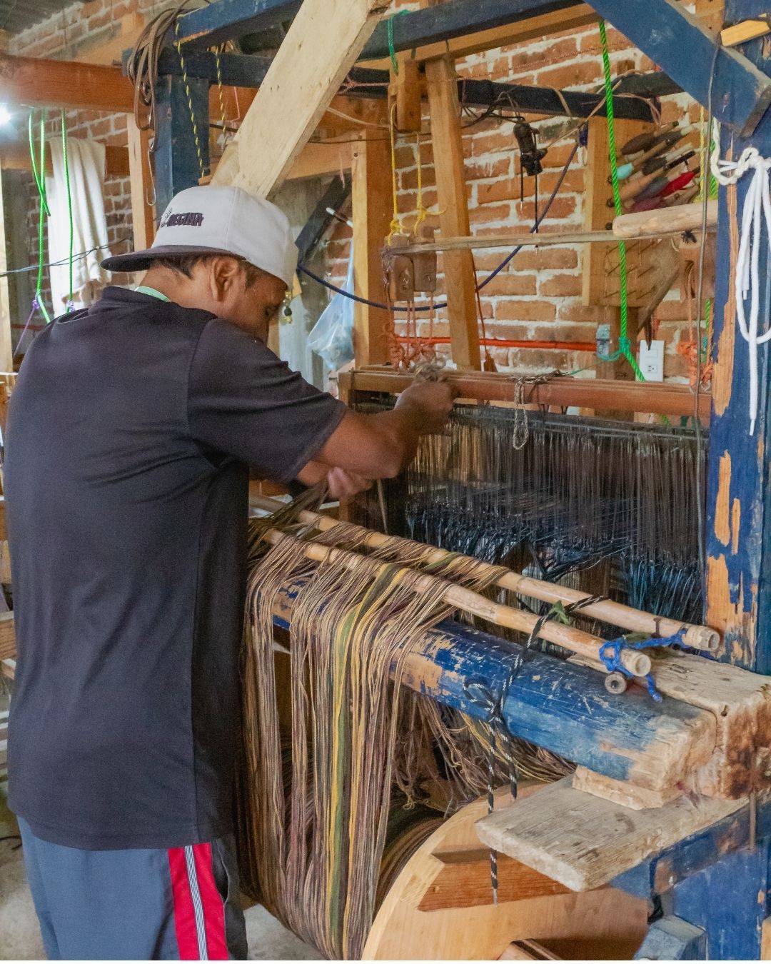Toño preparando pacientemente los hilos de la nueva base en el telar, pasando uno por uno por losmojales de los peines del telar, para poder empezar a tejer.